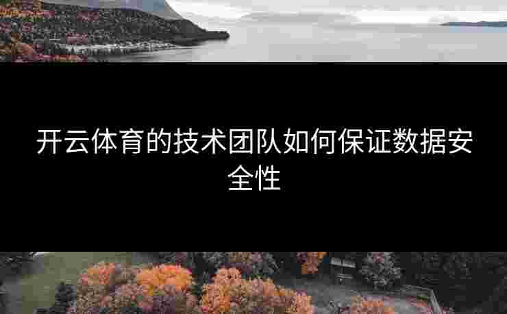 开云体育的技术团队如何保证数据安全性